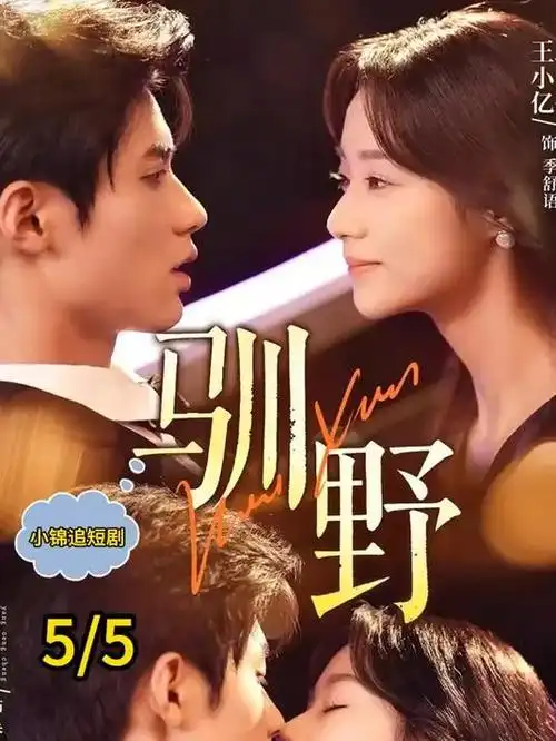 雾港迷航 高清电影在线观看